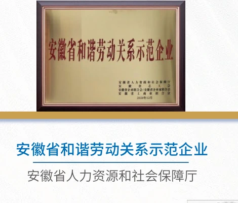 Anhui Harmonious Labor Relations Demonstration Enterprise honor certificate